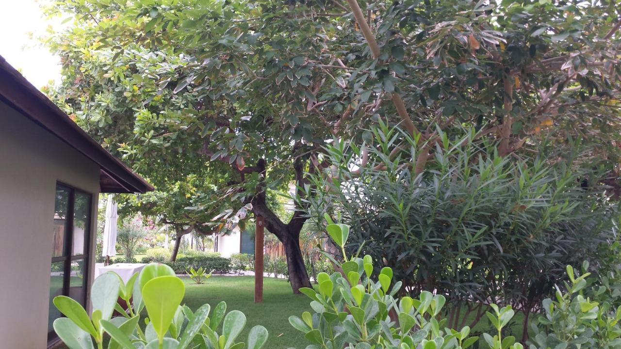Carneiros Beach Resort Tamandaré Екстериор снимка